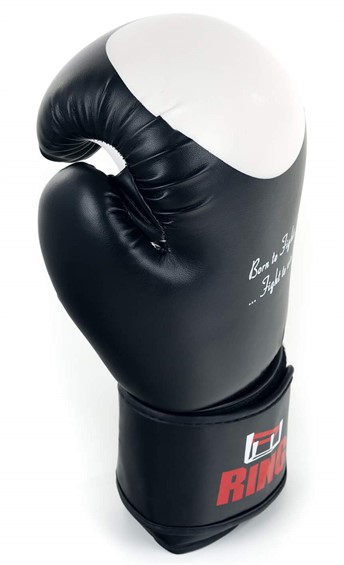 Boxhandschuhe Champion Detail