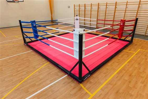 Boxring Bodenmodell