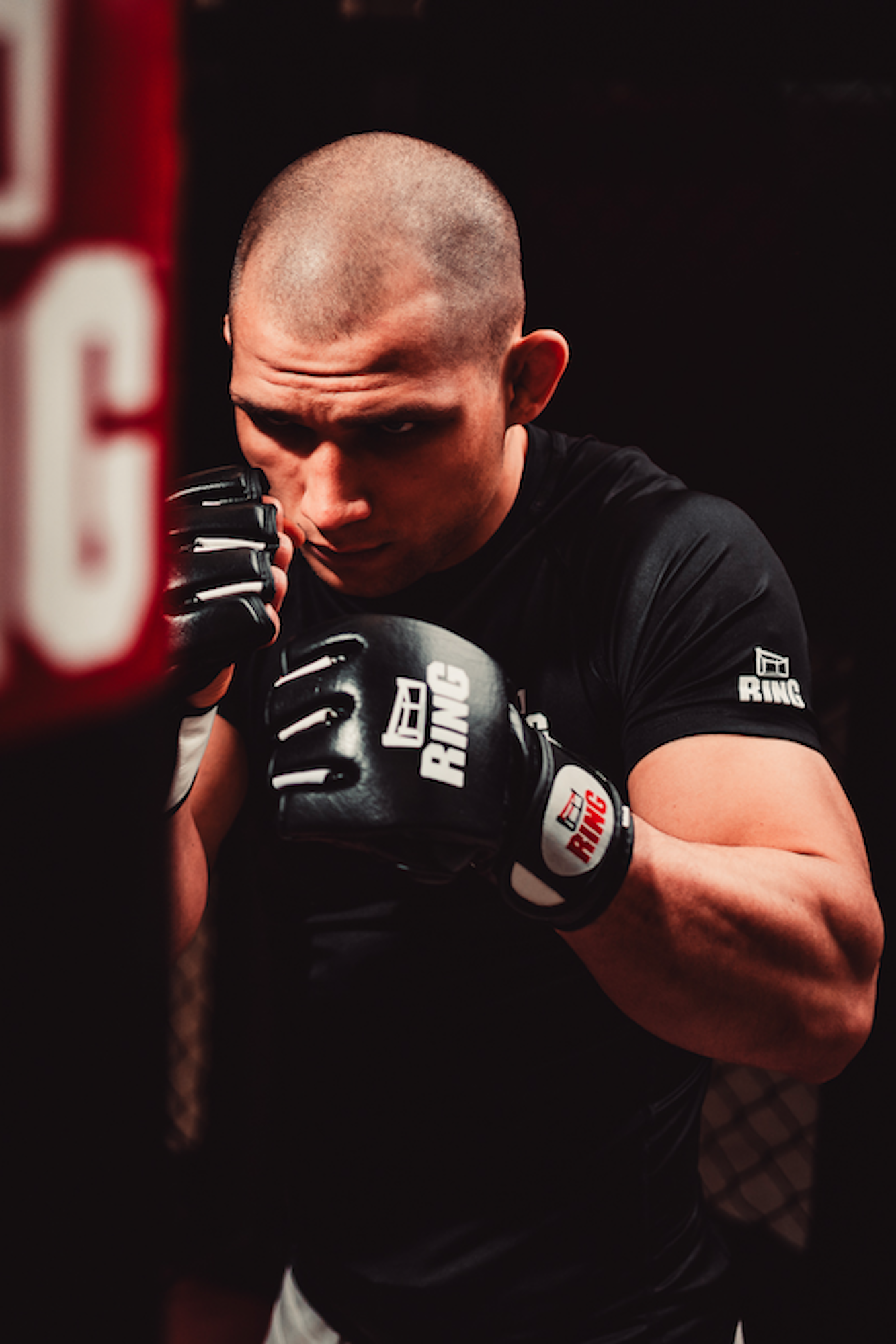 Box- &amp; Trainingshandschuhe