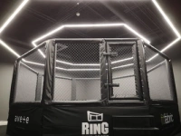 Professioneller MMA-Käfig mit Podest 10 x 10 m