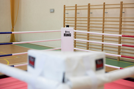 Professionelle Ring-Ecke für Boxringe FULL COLOR mit Aufdruck.