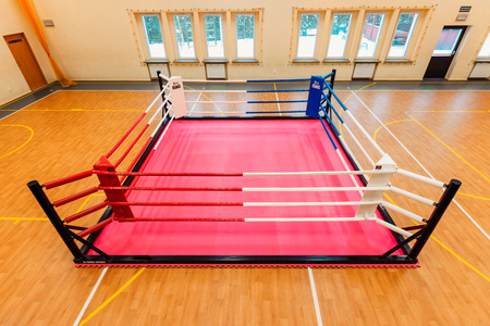 Boxring Bodenmodell 7,00m x 7,00m – 4 Seile
