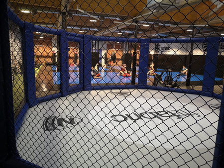 Professioneller MMA-Käfig mit Podest 10 x 10 m