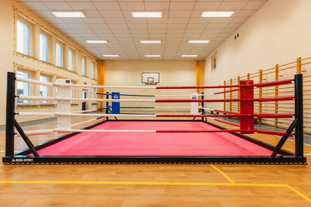 Boxring Bodenmodell 6,00m x 6,00m – 4 Seile