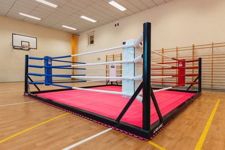 Boxring Bodenmodell 6,00m x 6,00m – 4 Seile
